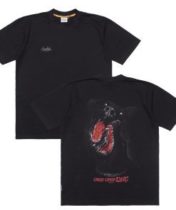 TS CANDECING 25